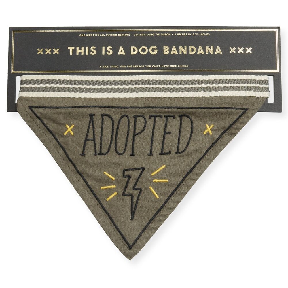 New! Embroidered Dog Bandana - Adopted